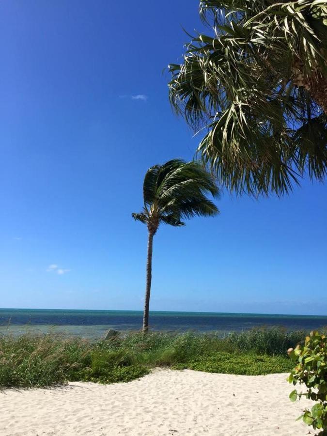 Paradise Found Cayo Hueso Exterior foto
