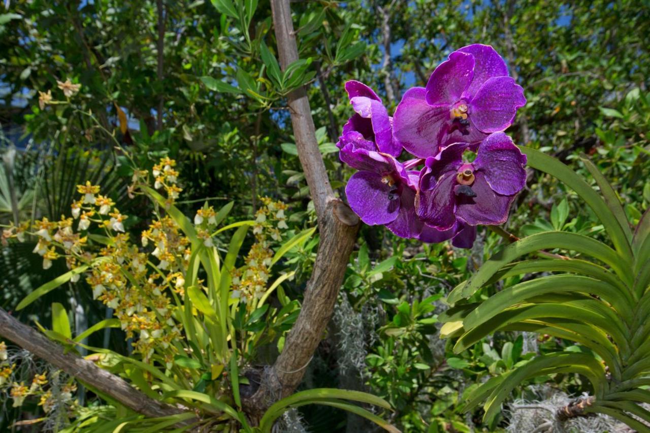Paradise Found Cayo Hueso Exterior foto