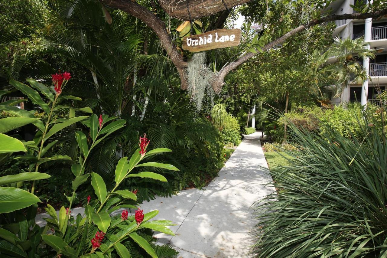 Paradise Found Cayo Hueso Exterior foto